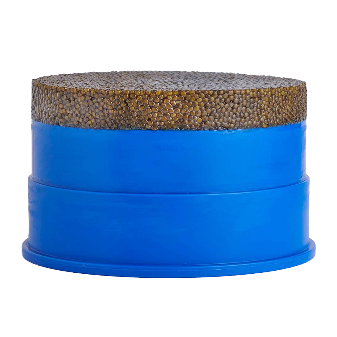 Blue Tin Caviar